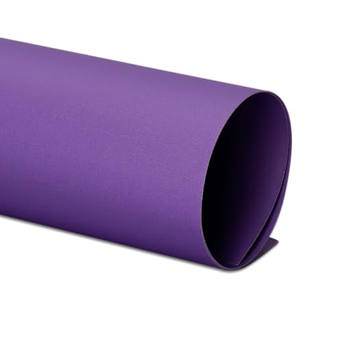 230GSM Purple Cardstock Paper - Kunstpapier Für Die Fotografie Kulisse, Farbige Kartenbestände Für Scrapbooking, Einladungen, Produktfotografie,Violett,Vollblatt (5 Blatt) von CAKERS