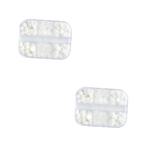 CALLARON 2 Sätze Charms Boxen Mit Fächern Nageldekorationen Aus Robustem Resin Für Diy Nail Art Zuhause Oder Schönheitssalons Für 2boxen*2 CALLARON 2 Sätze Charms Boxen Mit Fächern Nageldekorationen Aus Robustem Resin Für Diy Nail Art Zuhause Oder Schönheitssalons Für 2boxen*2 von CALLARON