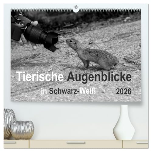 Tierische Augenblicke in Schwarz-Weiß (hochwertiger Premium Wandkalender 2026 DIN A2 quer), Kunstdruck in Hochglanz: Ausdrucksstarke Tierbilder in ... zeichnen diesen Kalender aus (CALVENDO Tiere) von CALVENDO