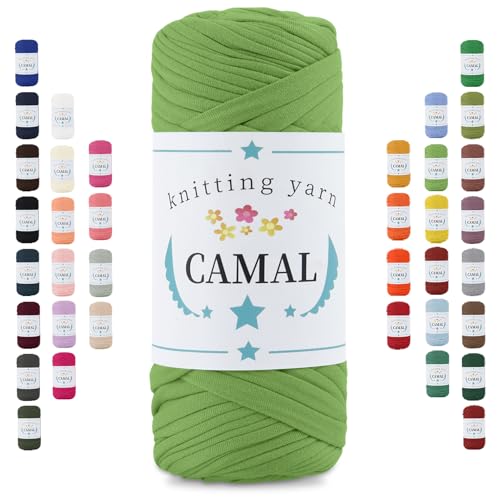 CAMAL 200g Tshirt Garn, Textilgarn zum Häkeln für Körbe 75m Dicke Bändchengarn zum Häkeln Taschen, Häkelgarn T Shirt Garn für Decken Wandbehang Heimdekoration (Obst Grün) von CAMAL