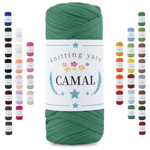 CAMAL 200g Tshirt Garn, Textilgarn zum Häkeln für Körbe 75m Dicke Bändchengarn zum Häkeln Taschen, Häkelgarn T Shirt Garn für Decken Wandbehang Heimdekoration (Seegrün) von CAMAL