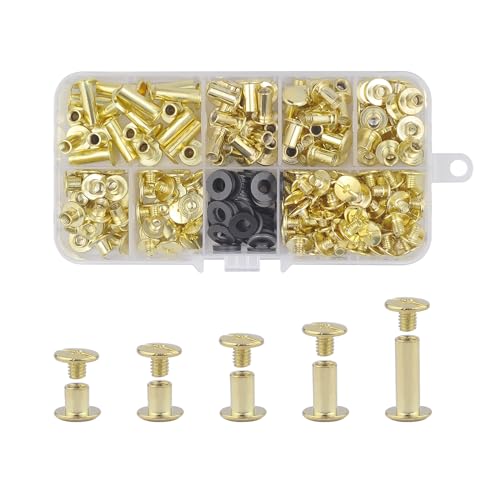 CANGCANG 100 Satz Chicago Buchschrauben Edelstahl,M5X 4/6/8/10/12mm Binding Schrauben kit 5 Größen Schraube Metallzubehör Nägel Nieten Chicago Button für Ledergürtel DIY Leder Dekoration (Gold) von CANGCANG