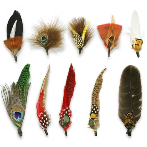 CANIPHA 10PCS Hat Feathers, Assorted Natural Hutfedern zum Basteln, natürliche Federn für Hüte, bunte Federn, Anstecker, Cowboyhutfedern für Männer und Frauen, Western-Cowboyhüte, DIY, Hutzubehör von CANIPHA