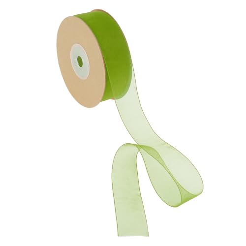 CAPASTEC Geschenkband, 22,86m x 2,5cm Nylonband, Geschenkbänder, Breites Hochzeitsdekoband, Grün CAPASTEC Geschenkband, 22,86m x 2,5cm Nylonband, Geschenkbänder, Breites Hochzeitsdekoband, Grün von CAPASTEC