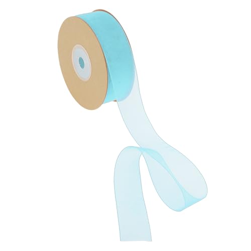 CAPASTEC Geschenkband, 22,86m x 2,5cm Nylonband, Geschenkbänder, Breites Hochzeitsdekoband, Hellblau von CAPASTEC