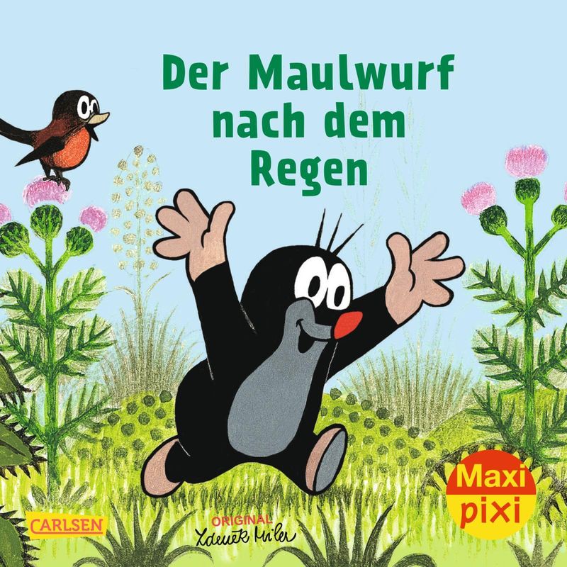 Maxi Pixi 200: Ve 5 Der Maulwurf Nach Dem Regen (5 Exemplare) - Hanna Sörensen, Kartoniert (TB) von CARLSEN VERLAG GMBH