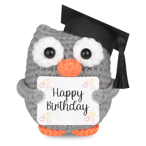 CAVERZ Pocket Hug Eule – Geburtstagsgeschenk Puppe, Glückseule mit Happy Birthday Karte | Süßer Glücksbringer für Geburtstag & Feier | Positives Geschenk für Familie und Freunde von CAVERZ