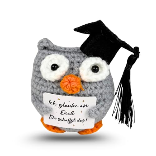 Pocket Hug Eule - Abschlussgeschenk Puppe, Handgemachte Glückseule mit Motivationskarte | Süßer Glücksbringer für Geburtstag, Prüfung & Gute Besserung | Positives Geschenk für Familie und Freunde Pocket Hug Eule - Abschlussgeschenk Puppe, Handgemachte Glückseule mit Motivationskarte | Süßer Glücksbringer für Geburtstag, Prüfung & Gute Besserung | Positives Geschenk für Familie und Freunde von CAVERZ