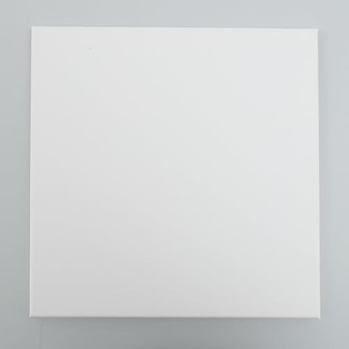 Premium Leinwand auf Keilrahmen 380g/m² Qualität (Weiß - 20x20cm) von CB Home & Style