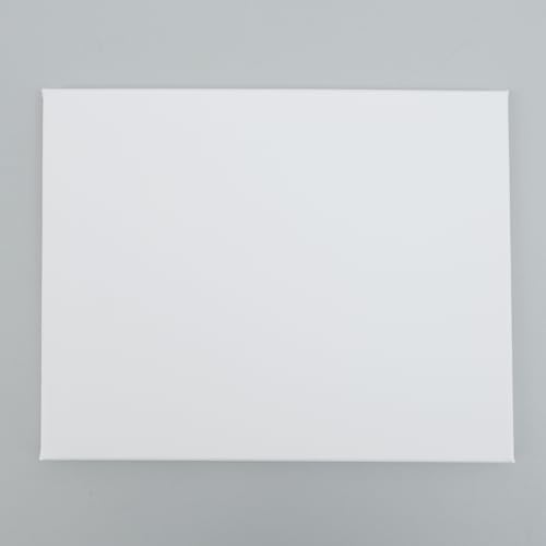 Premium Leinwand auf Keilrahmen 380g/m² Qualität (Weiß - 30x40cm) von CB Home & Style