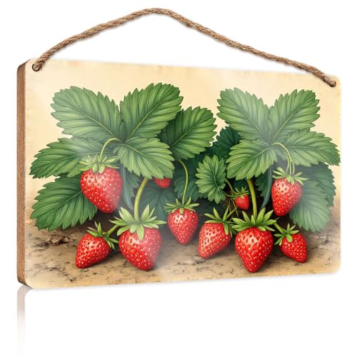 Lustige Schilder für Männerhöhle, Erdbeeren, die auf Pflanzen wachsen, mit grünen Blättern, Holzschild, Küchenschilder, Wanddekoration, Herbstbürodekoration (20 x 30 cm) von CBRT