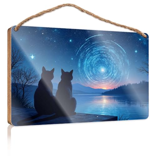 Lustige Schilder für die Männerhöhle, zwei Katzen, die den Sternenhimmel beobachten, Holzschild, Küchenschilder, Wanddekoration, Herbstbürodekoration (20 x 30 cm) von CBRT