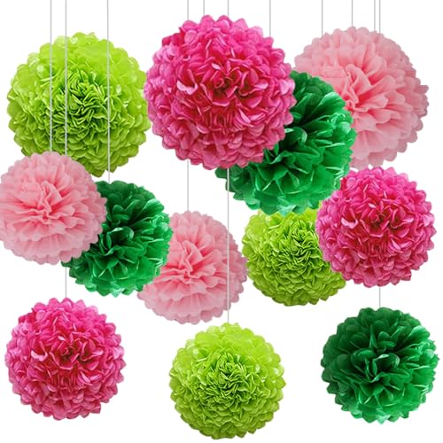 CC wonderland zone 12 Stück Rosa und Grün Papier Pompons,Seidenpapier Pom Poms für Rosa Grün Geburtstag Party Deko von CC wonderland zone