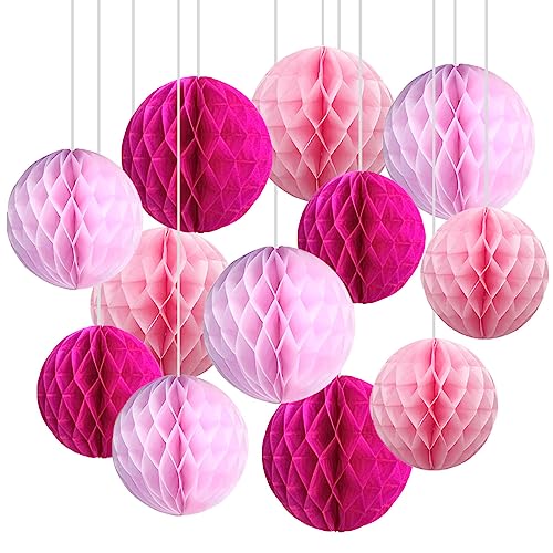 CC wonderland zone 12er Rosa Papier Wabenbälle,Seidenpapier Honeycomb Balls for Party Dekoration(6inch&10inch) von CC wonderland zone