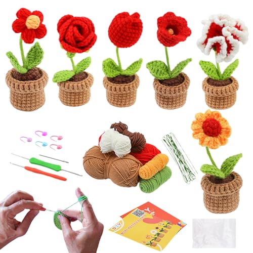 CENMOO Häkelnadel-Set für Topfpflanzen, Häkelblumen für Anfänger, Kunsthandwerkszubehör mit weichen Garnen für Freunde, erfahrene Stricker, Mütter CENMOO Häkelnadel-Set für Topfpflanzen, Häkelblumen für Anfänger, Kunsthandwerkszubehör mit weichen Garnen für Freunde, erfahrene Stricker, Mütter von CENMOO