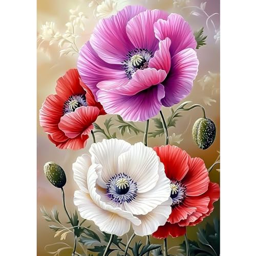 CEOVR Diamant Painting Bilder Erwachsene Kits,5D DIY Diamond Art Kits 30x40 cm (blanc rouge violet) von CEOVR