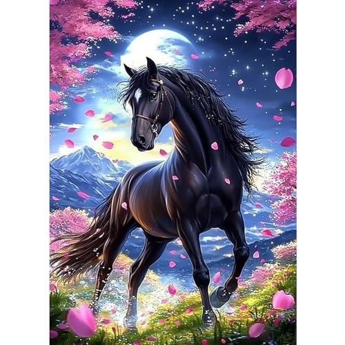 CEOVR Diamant Painting Bilder Erwachsene Kits,5D DIY Diamond Art Kits 30x40 cm (noir violet blanc) von CEOVR