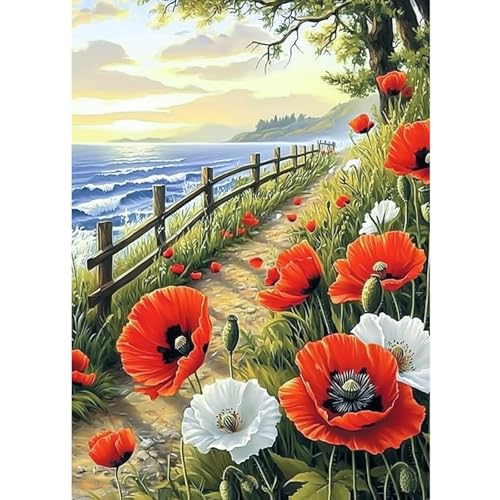 CEOVR Diamond Painting Bilder Erwachsene,5D DIY Diamond-painting Kits,Diamond Painting Set für Dekoration,30x40 cm (jaune rouge blanc) von CEOVR