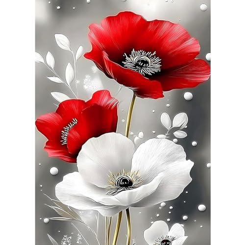 CEOVR Diamond Painting Bilder Kit Erwachsene,5D Mohn Diamond-painting 30x40 cm,Rote und Weiße Mohn Diamant Art Set CEOVR Diamond Painting Bilder Kit Erwachsene,5D Mohn Diamond-painting 30x40 cm,Rote und Weiße Mohn Diamant Art Set von CEOVR