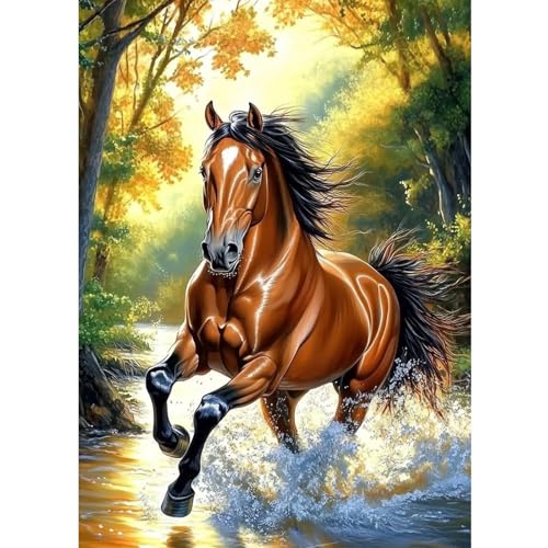 CEOVR Diamond Painting Bilder Kit Erwachsene Pferd,30x40 cm Diamant Paintings Kit,5D DIY Diamond-painting Laufendes Pferd von CEOVR