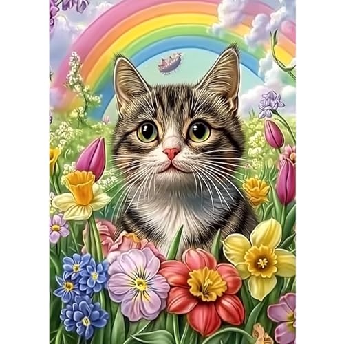 CEOVR Diamond Painting Bilder Kit Katze,30x40cm Diamant Paintings Kit,5D DIY Diamond-painting, Regenbogen und Katze von CEOVR