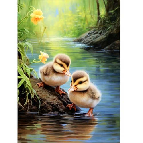 CEOVR Diamond Painting Kit Erwachsene Tier,Diamond-painting Enten,30x40 cm Diamant Paintings Kit,5D DIY Diamond Painting Bilder Set Blumen,e CEOVR Diamond Painting Kit Erwachsene Tier,Diamond-painting Enten,30x40 cm Diamant Paintings Kit,5D DIY Diamond Painting Bilder Set Blumen,e von CEOVR