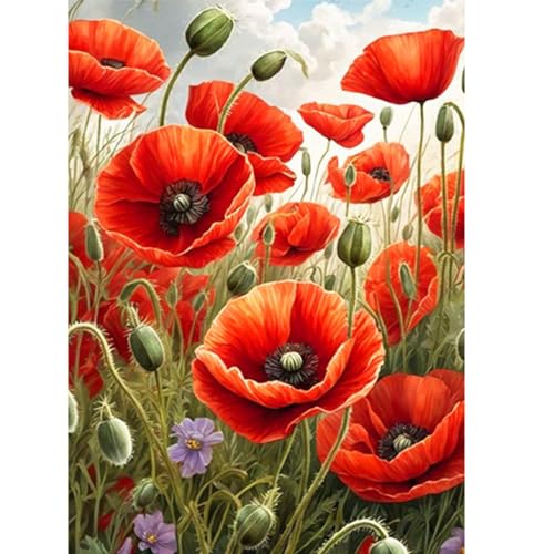 CEOVR Kit Diamond Painting Adulte Peinture Diamant Adulte Blumen 5D Diamond Painting Kit Complet,Landschaft Diamant Kit Adulte,30x40 cm Rote Blumen Diamond Painting Adulte von CEOVR