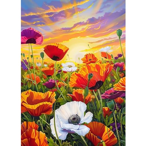CEOVR Diamond Painting Bilder Kits,5D DIYDiamant Malerei Kits,30x40 cm Diamond Painting Erwachsene (Rot Weiß Grün) CEOVR Diamond Painting Bilder Kits,5D DIYDiamant Malerei Kits,30x40 cm Diamond Painting Erwachsene (Rot Weiß Grün) von CEOVR