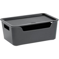 cep Bella Aufbewahrungsbox 4,22 l grau 18,0 x 28,0 x 11,0 cm von CEP