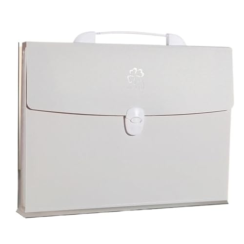 CFY652 Fächermappe 13 Fächer im A4-Format, erweiterbare Brieftasche, Aktenordner, Papierdokumentenaufbewahrung, Orgeltaschenhalter, Büro, Schule, Organizer Document Organizer(Grigio) von CFY652