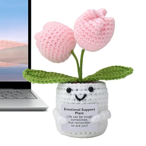 CGACCSD Emotionale Unterstützung, Häkelblume, emotionale Unterstützung, Topf | aus leichtem, positivem Strick, Häkeln mit positiven emotionalen Blumen, für Frauen und Frauen von CGACCSD