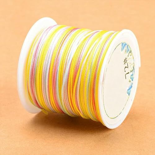 45 m/Rolle, 0,8 mm, bunt, mit Farbverlauf, Nylonschnur, chinesischer Knoten, Makramee-Schnur, Armband, geflochtene Schnur, DIY-Quasten, Perlenseil, F 45 m/Rolle, 0,8 mm, bunt, mit Farbverlauf, Nylonschnur, chinesischer Knoten, Makramee-Schnur, Armband, geflochtene Schnur, DIY-Quasten, Perlenseil, F von CGRYREH