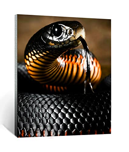 CHAHU Malen nach Zahlen Kits für Erwachsene und Kinder reptil schwarze mamba schlange tier Diy Digitales Ölgemälde Geschenk Kits Vorgedruckte Leinwand Kunst Dekoration -16 * 20 Zoll Rahmenlose CHAHU Malen nach Zahlen Kits für Erwachsene und Kinder reptil schwarze mamba schlange tier Diy Digitales Ölgemälde Geschenk Kits Vorgedruckte Leinwand Kunst Dekoration -16 * 20 Zoll Rahmenlose von CHAHU