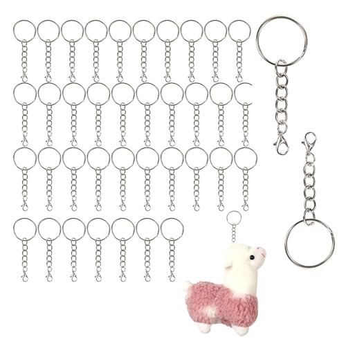 CHAOTEMAI 50 Stück 25mm Schlüsselring mit Kette, Schlüsselring, Keychain, Schlüsselringe, Schlüsselanhänger, für Schlüssel Handwerk DIY, Schmuckherstellung, Rostfreies Metall (Silber) von CHAOTEMAI