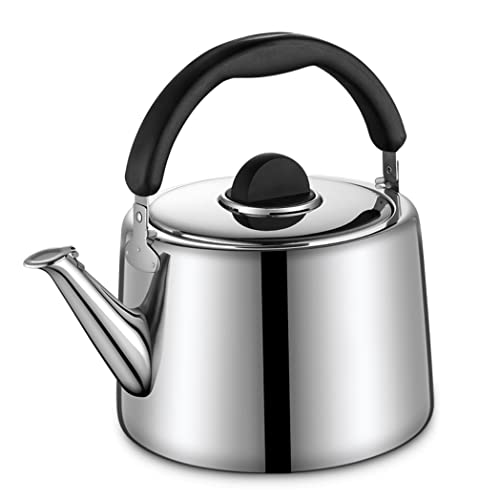 Flötenkessel für Herdplatte, 304 Edelstahl, Flötenkessel, Teekessel zum Aufbrühen von Tee, Pfeife, Teekessel (3 l) von CHCWR