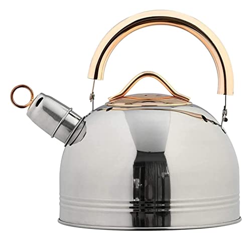 Teekessel für Herdplatte, 3 l, Edelstahl, Flöten-Teekessel, flacher Boden, Teekessel, Pfeif-Teekessel für alle Herdplatten, Gaspfeife, Wasserkessel, Teekessel Teekessel für Herdplatte, 3 l, Edelstahl, Flöten-Teekessel, flacher Boden, Teekessel, Pfeif-Teekessel für alle Herdplatten, Gaspfeife, Wasserkessel, Teekessel von CHCWR