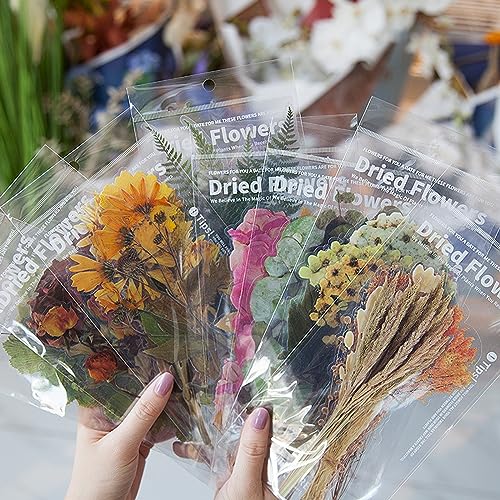 Dried Flowers Stickers Set, Blumen Aufkleber Set, Transparente Blumen Sticker, Getrocknete Blumen und Pflanzen Aufkleber, Scrapbooking Aufkleber, Transparente Dekorative Aufkleber für DIY Craft von CHENRI
