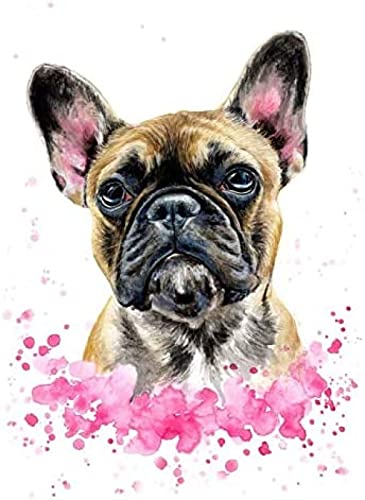 CHEUALY Malen nach Zahlen Kits Aquarell Französische Bulldogge Malen nach Zahlen für Erwachsene und Kinder DIY Ölgemälde Geschenksets 30x40cm CHEUALY Malen nach Zahlen Kits Aquarell Französische Bulldogge Malen nach Zahlen für Erwachsene und Kinder DIY Ölgemälde Geschenksets 30x40cm von CHEUALY