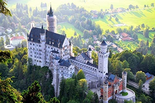 DIY 5D Diamond Painting Kits Schloss Neuschwanstein Diamantmosaik Stickerei Rundbohrer Geschenk 50x60CM DIY 5D Diamond Painting Kits Schloss Neuschwanstein Diamantmosaik Stickerei Rundbohrer Geschenk 50x60CM von Homry