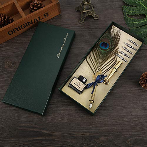 CHICIRIS Luxus Vintage Retro Feather Dip Stift Edelstahl Nibs Kalligraphie Schreibstift Set mit 15 Ml Tinte von CHICIRIS