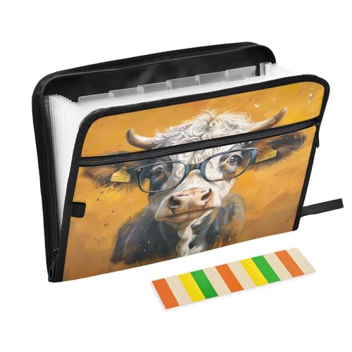 Fächermappe mit Reißverschluss, 13 Fächer, Akkordeon-Aktenordner mit Etiketten, A4, Briefgröße, Dokumenten-Organizer, Büro, Klassenzimmer, Orange Fächermappe mit Reißverschluss, 13 Fächer, Akkordeon-Aktenordner mit Etiketten, A4, Briefgröße, Dokumenten-Organizer, Büro, Klassenzimmer, Orange von CHIFIGNO