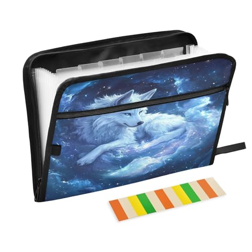 Fächermappe mit Reißverschluss, A4-Format, mit Reißverschluss, A4, mit Etiketten, Akkordeon-Ordner mit 13 Fächern, Weiß / Blau Fächermappe mit Reißverschluss, A4-Format, mit Reißverschluss, A4, mit Etiketten, Akkordeon-Ordner mit 13 Fächern, Weiß / Blau von CHIFIGNO