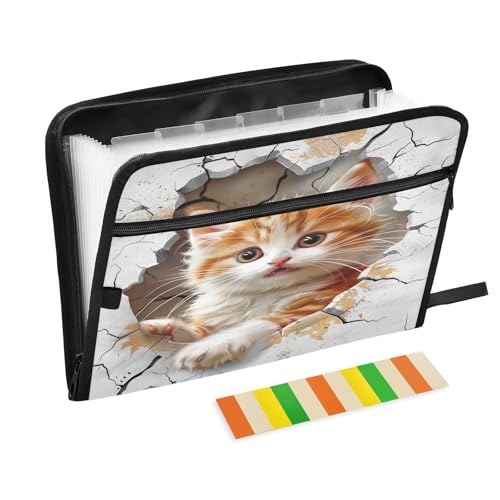 Funny Cat Fächermappe mit 13 Fächern, Akkordeon-Aktenordner mit Etiketten, A4, Dokumenten-Organizer mit Reißverschluss, tragbare Aktenordner von CHIFIGNO