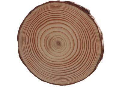 CHIHEUNG 15 Stück natürliche Holzscheiben, 13–14 cm, runde Holzscheiben mit Rinde, Kiefernholzscheiben für Handwerk, DIY, Hochzeitsdekoration, Weihnachtsschmuck CHIHEUNG 15 Stück natürliche Holzscheiben, 13–14 cm, runde Holzscheiben mit Rinde, Kiefernholzscheiben für Handwerk, DIY, Hochzeitsdekoration, Weihnachtsschmuck von CHIHEUNG