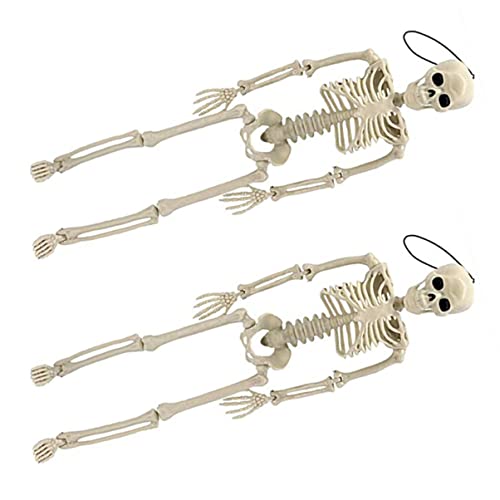 CHILDWEET Realistisches Skelettmodell Für Halloween-Dekoration Spielzeug Geist Halloween-Dekoration Skelett CHILDWEET Realistisches Skelettmodell Für Halloween-Dekoration Spielzeug Geist Halloween-Dekoration Skelett von CHILDWEET