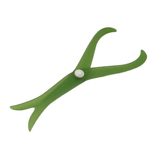 CHIZISX 20,3 cm Länge, gebogenes Bein, Acryl-Messschieber, Ton, Skulptur, Messwerkzeug zum Schnitzen, Formen, Modelliermasse, Modellierwerkzeug CHIZISX 20,3 cm Länge, gebogenes Bein, Acryl-Messschieber, Ton, Skulptur, Messwerkzeug zum Schnitzen, Formen, Modelliermasse, Modellierwerkzeug von CHIZISX