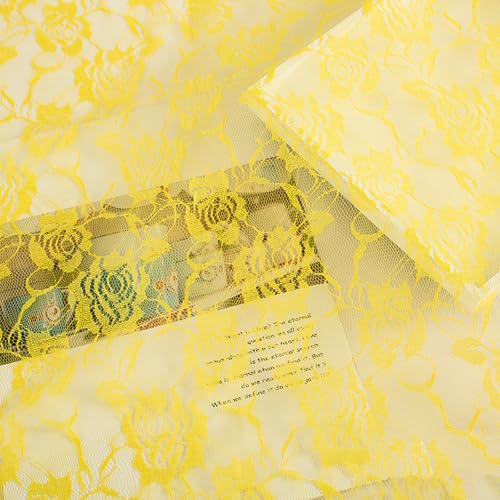 CHIZISX Spitzenstoff, Blumenstickerei, Spitzenstoff, Kleiderband, Vorhangzubehör, zum Nähen, Basteln, 100 x 150 cm CHIZISX Spitzenstoff, Blumenstickerei, Spitzenstoff, Kleiderband, Vorhangzubehör, zum Nähen, Basteln, 100 x 150 cm von CHIZISX