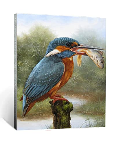 Malen nach Zahlen Kits für Erwachsene und Kinder Eisvogel und Fischtier DIY Ölgemälde Digitale Leinwand Wandkunst Home Decoration - 40x50CM Rahmenlos Malen nach Zahlen Kits für Erwachsene und Kinder Eisvogel und Fischtier DIY Ölgemälde Digitale Leinwand Wandkunst Home Decoration - 40x50CM Rahmenlos von CHKNUJY