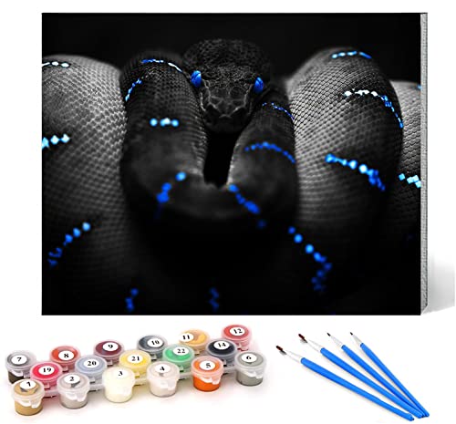 Malen nach Zahlen Schlange Kits für Anfänger Erwachsene DIY Art Decor Handgemalte Malerei nach Zahlen Kreatives Geschenk Home Decoration 16x20 Zoll rahmenlos Malen nach Zahlen Schlange Kits für Anfänger Erwachsene DIY Art Decor Handgemalte Malerei nach Zahlen Kreatives Geschenk Home Decoration 16x20 Zoll rahmenlos von CHKNUJY
