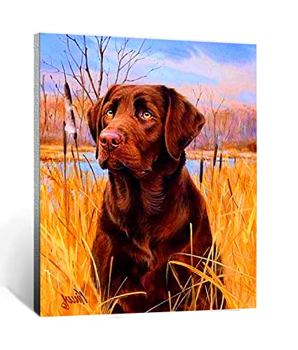 Malen nach Zahlen Tierischer brauner Hund Labrador Kits für Anfänger Erwachsene DIY Art Decor Handgemalte Malerei nach Zahlen Kreatives Geschenk Home Decoration 16x20 Zoll rahmenlos von CHKNUJY